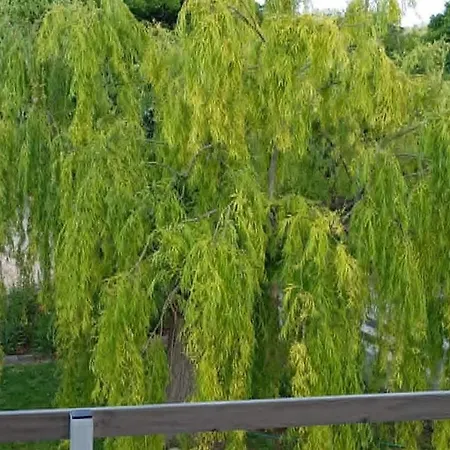 דירה Isabel
